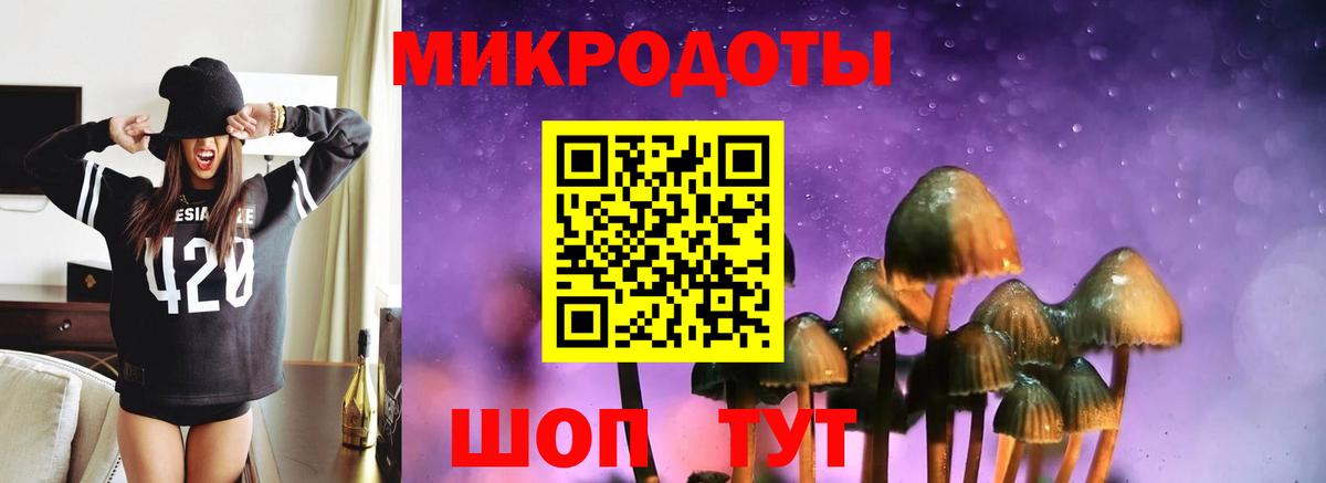 Бузулук  Псилоцибиновые грибы Psilocybine cubensis  Вход с VPN  Галлюциногенные грибы мухоморы 